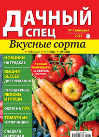 Дачный спец