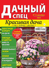 Дачный спец