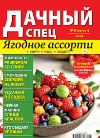 Дачный спец