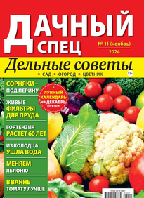 Дачный спец