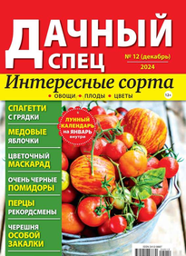 Дачный спец