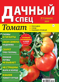 Дачный спец