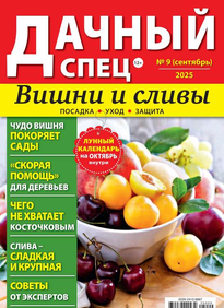 Дачный спец