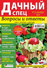 Дачный спец