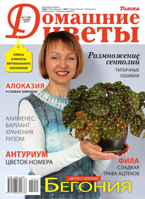 Домашние Цветы