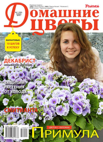 Домашние Цветы