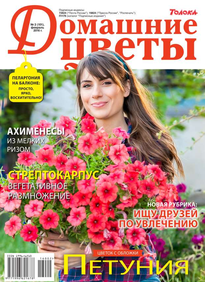 Домашние Цветы