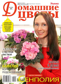 Домашние Цветы