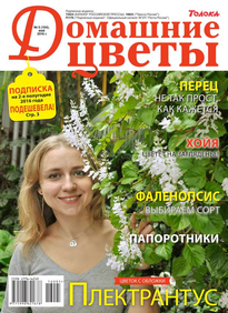 Домашние Цветы