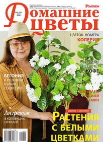 Домашние Цветы