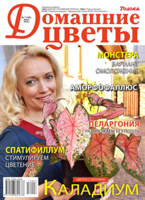 Домашние Цветы