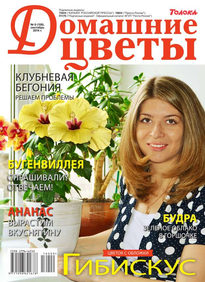 Домашние Цветы