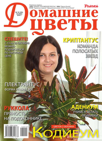 Домашние Цветы