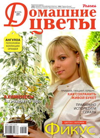 Домашние Цветы