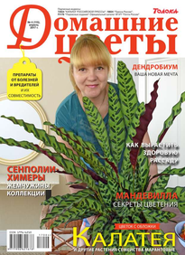 Домашние Цветы