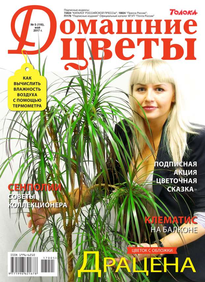 Домашние Цветы