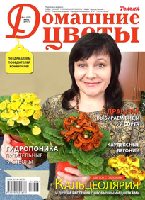 Домашние Цветы