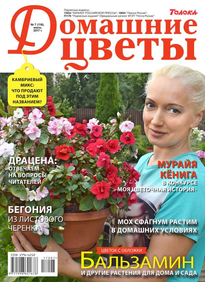 Домашние Цветы