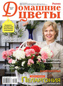 Домашние Цветы