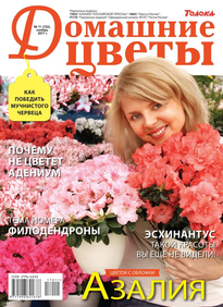 Домашние Цветы