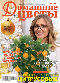 Домашние Цветы