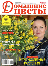 Домашние Цветы