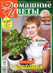 Домашние Цветы