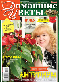 Домашние Цветы