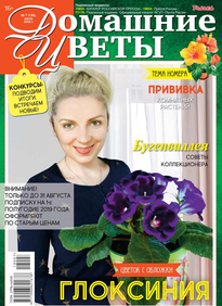 Домашние Цветы