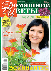 Домашние Цветы