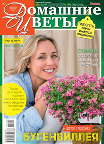 Домашние Цветы