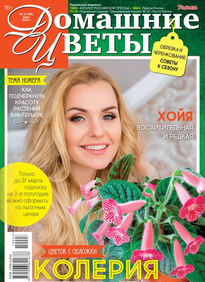 Домашние Цветы