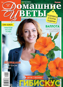 Домашние Цветы