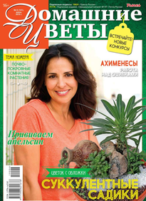 Домашние Цветы