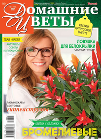 Домашние Цветы