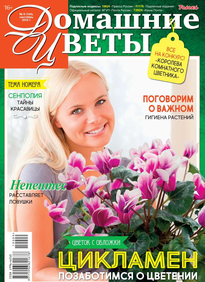 Домашние Цветы