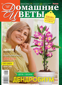 Домашние Цветы