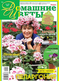 Домашние Цветы