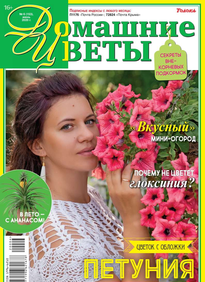 Домашние Цветы