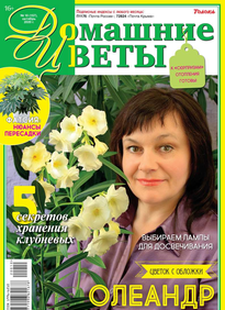 Домашние Цветы