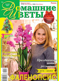 Домашние Цветы