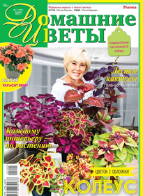 Домашние Цветы