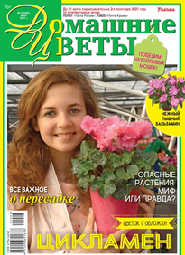 Домашние Цветы