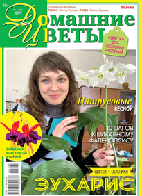 Домашние Цветы