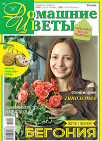 Домашние Цветы