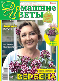 Домашние Цветы