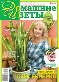 Домашние Цветы