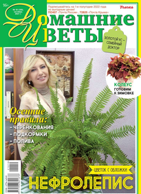 Домашние Цветы