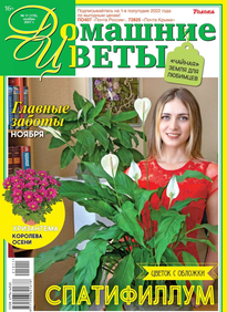 Домашние Цветы