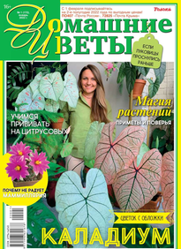 Домашние Цветы